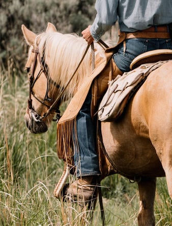 Amangani, Jackson Hole - Horseriding 